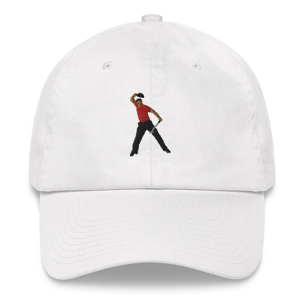2008 Dad hat